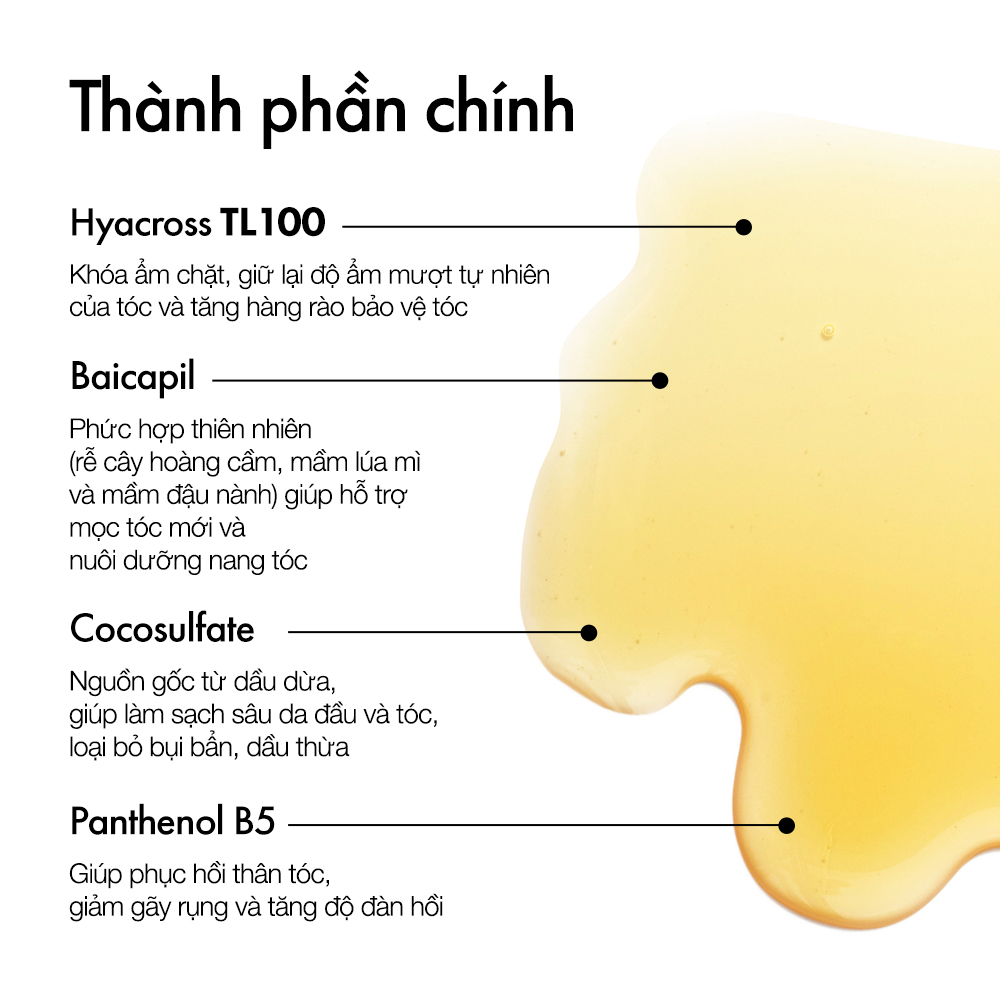 Dầu gội Glatika Hair Technique Shampoo Density 2X 200ml giúp làm sạch sâu và tóc chắc khỏe