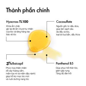 Combo dầu gội và xịt dưỡng Glatika Hair Technique Density 2X giúp làm sạch da đầu và hỗ trợ tóc mọc chắc khỏe