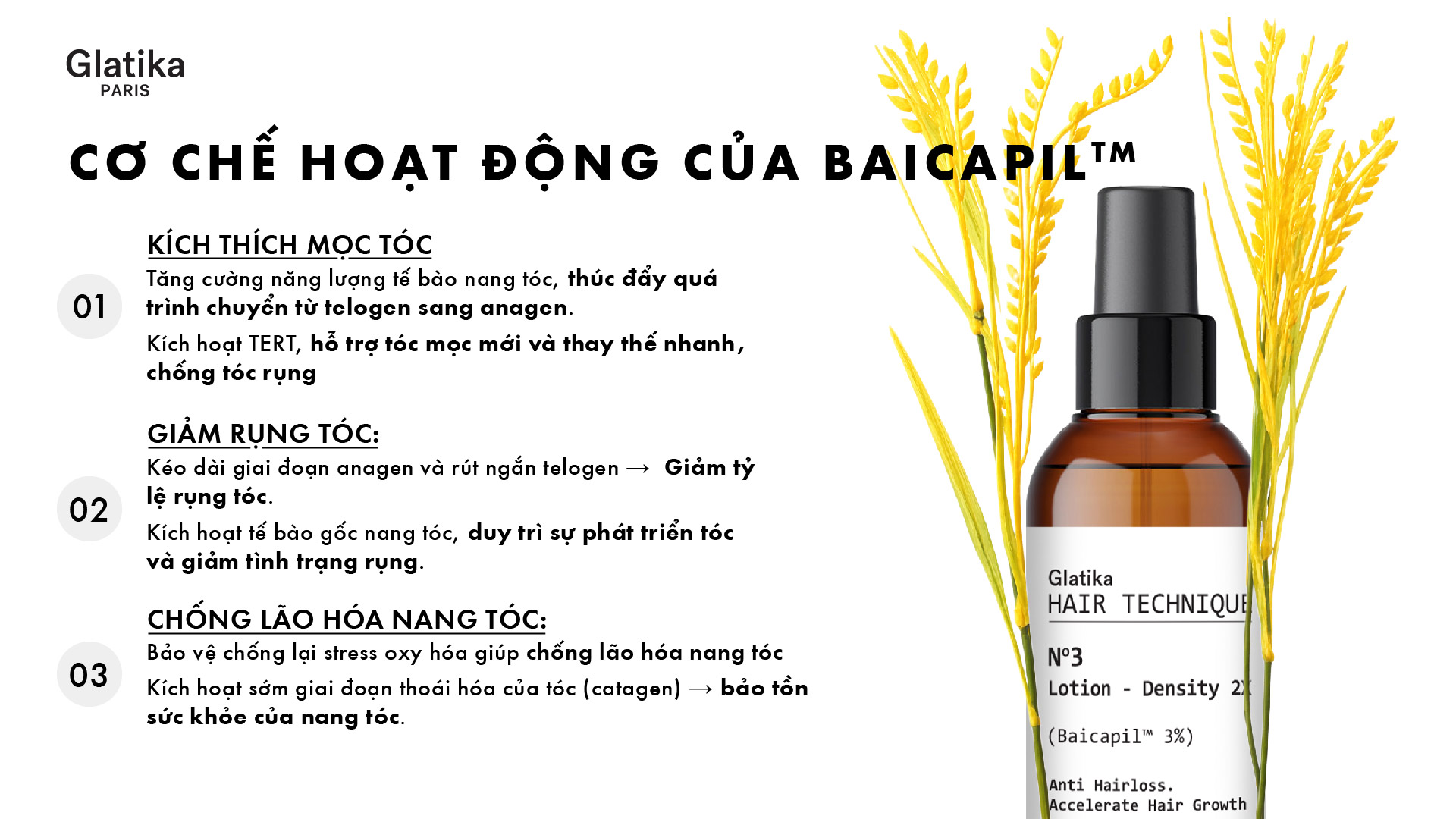 Vai trò sinh học của Baicapil™ 3% trong xịt dưỡng tóc Glatika