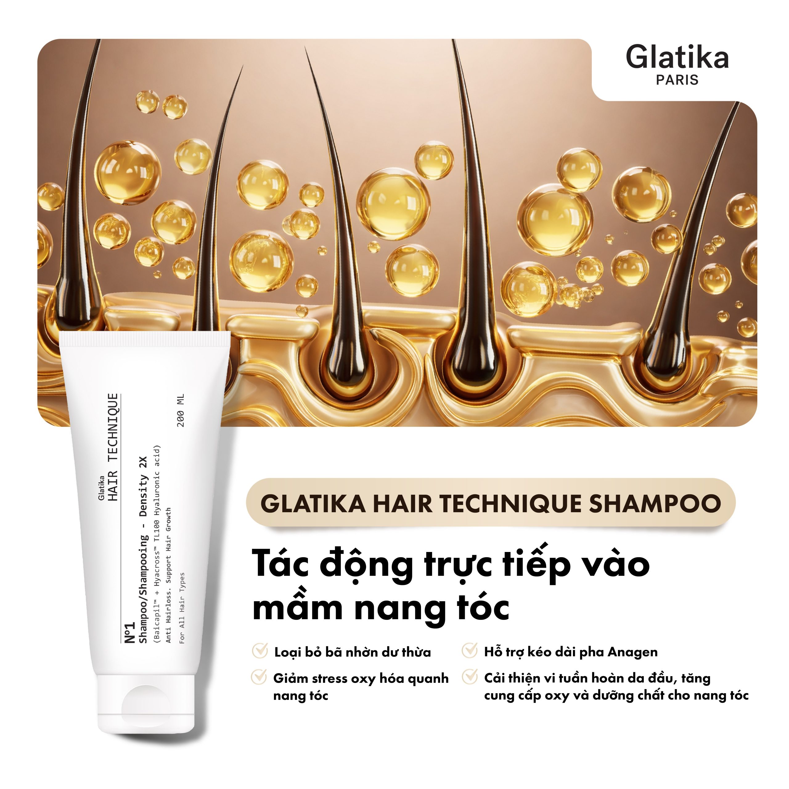 Dầu gội Glatika Hair Technique Shampoo tác động ở đâu trong cơ chế này?